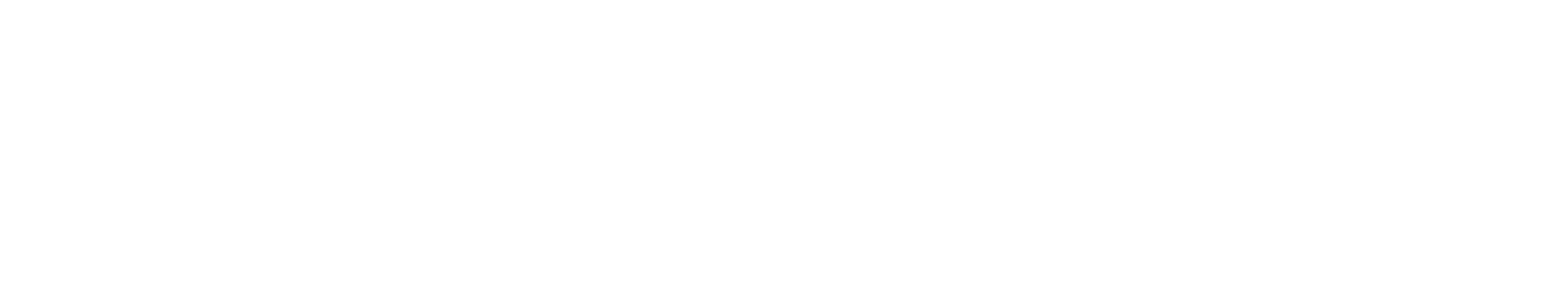 KNAUF_Subbrand_Logo_2023_White_sRGB_insulation